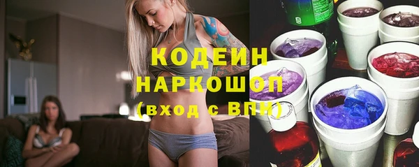 индика Наволоки