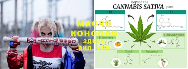 дмт Надым