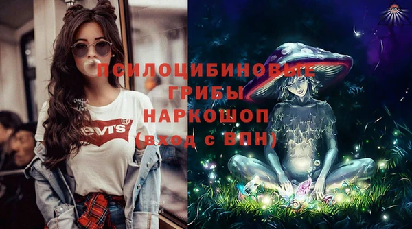 дмт Надым