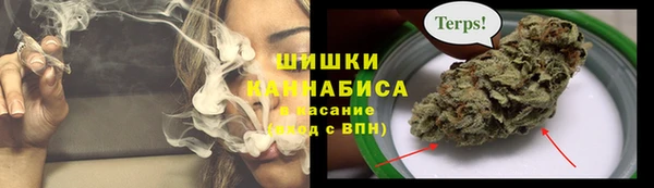 дмт Надым
