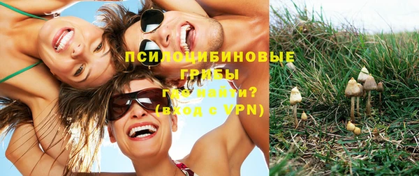дмт Надым