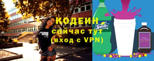 индика Наволоки