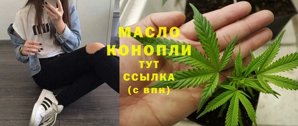 индика Наволоки