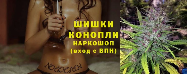 индика Наволоки