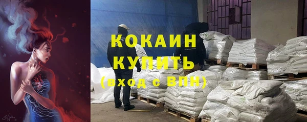 индика Наволоки