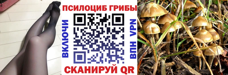 Галлюциногенные грибы Cubensis  Чулым 