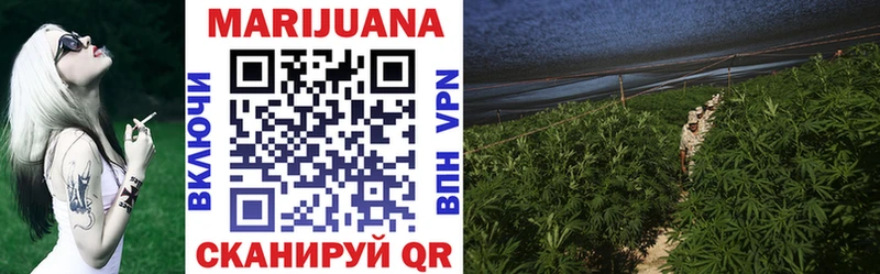 Конопля OG Kush Чулым